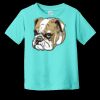 Toddler Fine Jersey Tee RS3321 | 4.5 oz. Combed Ring Spun Cotton Thumbnail