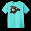 Toddler Fine Jersey Tee RS3321 | 4.5 oz. Combed Ring Spun Cotton Thumbnail