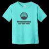 Toddler Fine Jersey Tee RS3321 | 4.5 oz. Combed Ring Spun Cotton Thumbnail