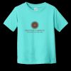 Toddler Fine Jersey Tee RS3321 | 4.5 oz. Combed Ring Spun Cotton Thumbnail