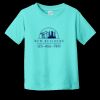 Toddler Fine Jersey Tee RS3321 | 4.5 oz. Combed Ring Spun Cotton Thumbnail