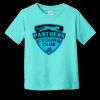 Toddler Fine Jersey Tee RS3321 | 4.5 oz. Combed Ring Spun Cotton Thumbnail