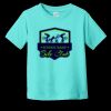 Toddler Fine Jersey Tee RS3321 | 4.5 oz. Combed Ring Spun Cotton Thumbnail