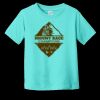 Toddler Fine Jersey Tee RS3321 | 4.5 oz. Combed Ring Spun Cotton Thumbnail