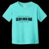 Toddler Fine Jersey Tee RS3321 | 4.5 oz. Combed Ring Spun Cotton Thumbnail