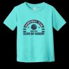 Toddler Fine Jersey Tee RS3321 | 4.5 oz. Combed Ring Spun Cotton Thumbnail
