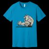 Unisex Jersey Short Sleeve Tee | 4.2 oz Airlume Cotton - Bella+Canvas BC3001  Thumbnail