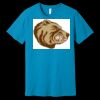 Unisex Jersey Short Sleeve Tee | 4.2 oz Airlume Cotton - Bella+Canvas BC3001  Thumbnail