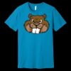 Unisex Jersey Short Sleeve Tee | 4.2 oz Airlume Cotton - Bella+Canvas BC3001  Thumbnail