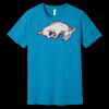 Unisex Jersey Short Sleeve Tee | 4.2 oz Airlume Cotton - Bella+Canvas BC3001  Thumbnail
