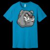 Unisex Jersey Short Sleeve Tee | 4.2 oz Airlume Cotton - Bella+Canvas BC3001  Thumbnail