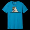 Unisex Jersey Short Sleeve Tee | 4.2 oz Airlume Cotton - Bella+Canvas BC3001  Thumbnail