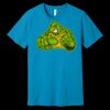 Unisex Jersey Short Sleeve Tee | 4.2 oz Airlume Cotton - Bella+Canvas BC3001  Thumbnail