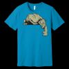 Unisex Jersey Short Sleeve Tee | 4.2 oz Airlume Cotton - Bella+Canvas BC3001  Thumbnail