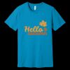 Unisex Jersey Short Sleeve Tee | 4.2 oz Airlume Cotton - Bella+Canvas BC3001  Thumbnail