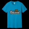 Unisex Jersey Short Sleeve Tee | 4.2 oz Airlume Cotton - Bella+Canvas BC3001  Thumbnail