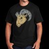 Port & Co Adult DTG Cotton Tee Thumbnail