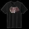 Youth Easy Cotton Tee Thumbnail
