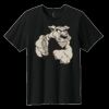 Youth Easy Cotton Tee Thumbnail