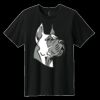 Youth Easy Cotton Tee Thumbnail