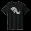 Youth Easy Cotton Tee Thumbnail