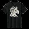 Youth Easy Cotton Tee Thumbnail