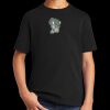 Youth DTG Cotton Tee Thumbnail