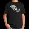 Youth DTG Cotton Tee Thumbnail